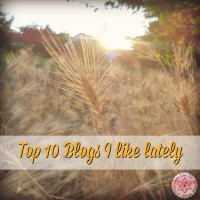 Top 10 Blogs I like lately - Anna Can Do It! Pin it for later and press ♥ if you like it!