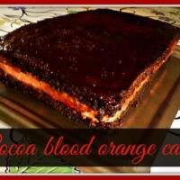 Cocoa blood orange cake