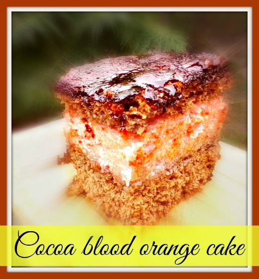 Cocoa blood orange cake - Anna Can Do It!