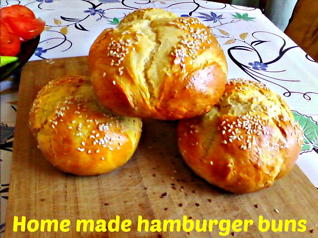 DIY Hamburger - Anna Can Do It!