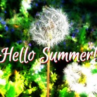 Hello Summer
