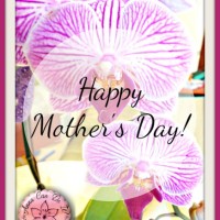 Happy Mother’s Day