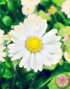 Little things - Anna Can Do It!