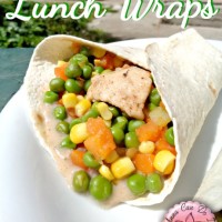 Lunch Wraps and Announcement