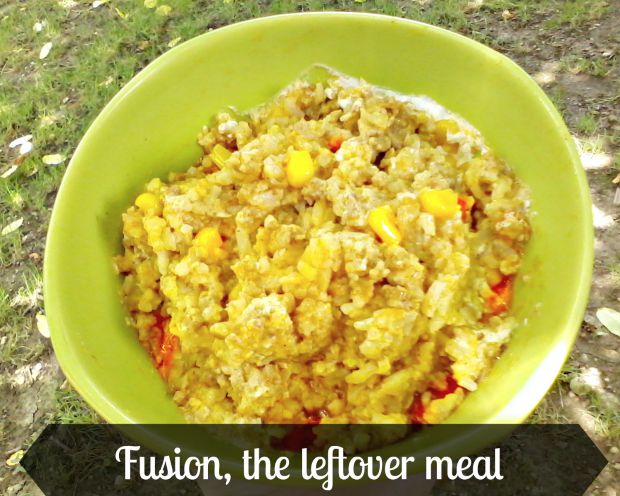 Fusion, the leftover meal - Anna Can Do It!