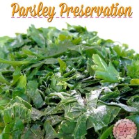 Parsley Preservation