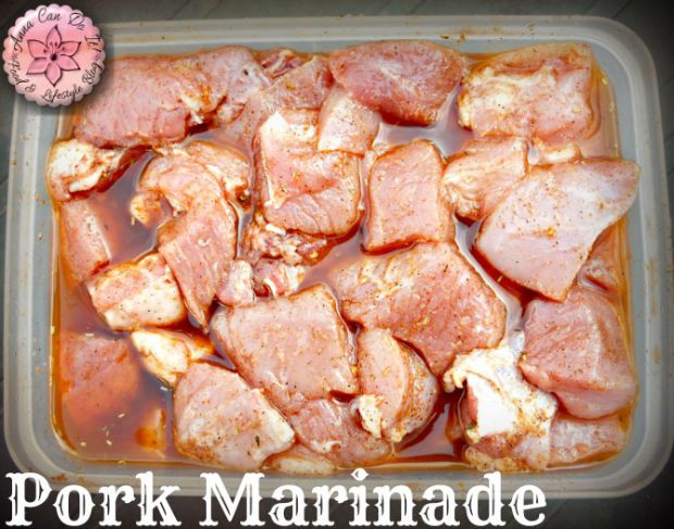 Pork Marinade - Anna Can Do It!