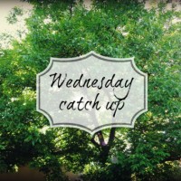 Wednesday catch up