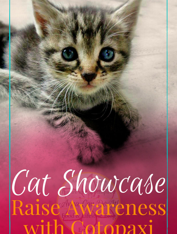 Cat Showcase - Raise Awareness with Cotopaxi - Anna Can Do It!
