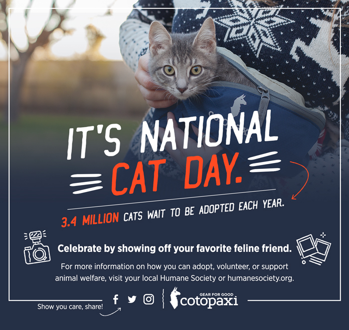 Cat Showcase - Raise Awareness with Cotopaxi - Anna Can Do It!