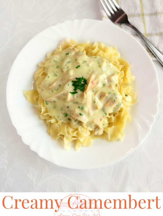 Creamy Camembert Pasta Sauce - Anna Can Do It!