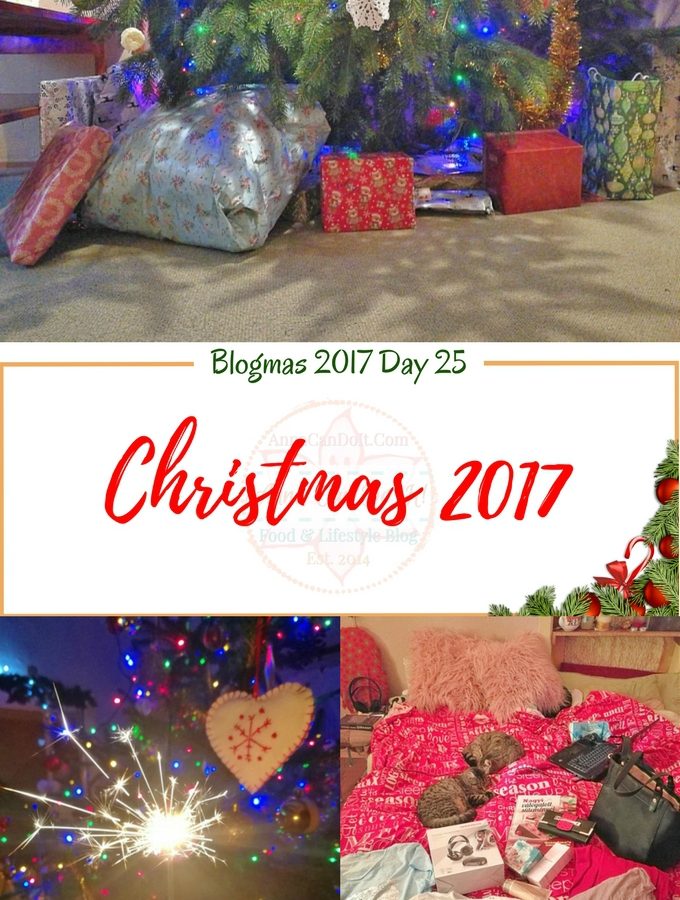 Christmas 2017 - Blogmas 2017 Day 25 - Anna Can Do It!